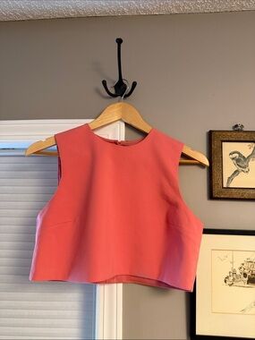 ZARA Pink Cropped Top